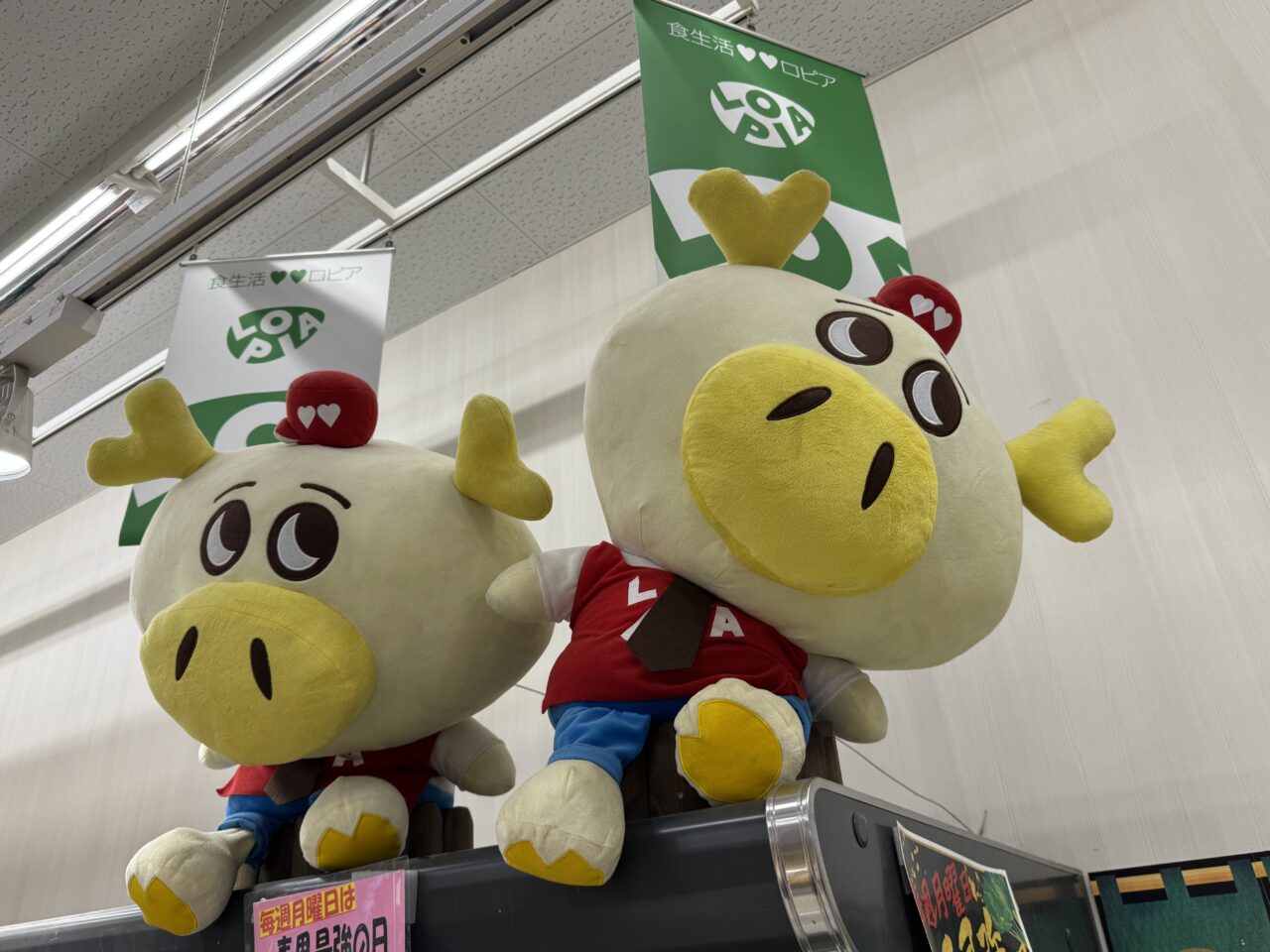 ロピア MrMax藤沢店オープン