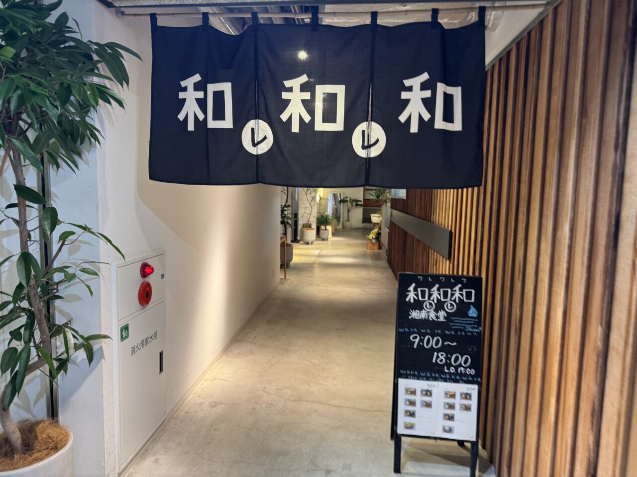 和レ和レ和 湘南食堂オープン