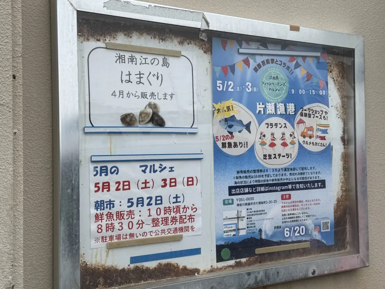 【藤沢市】初日は鮮魚販売も！ 「江の島フィッシャーマンズマルシェ」がGWの5月2日、3日の2日間、片瀬漁港で開催されます♪