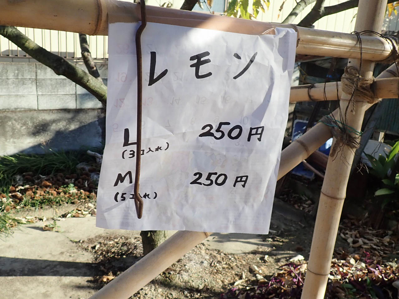 川越産のレモンの販売所