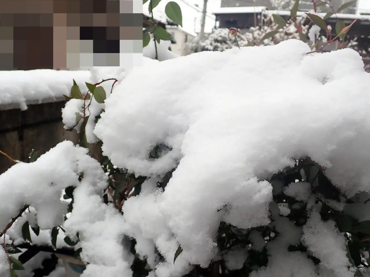 2026年2月の川越の雪