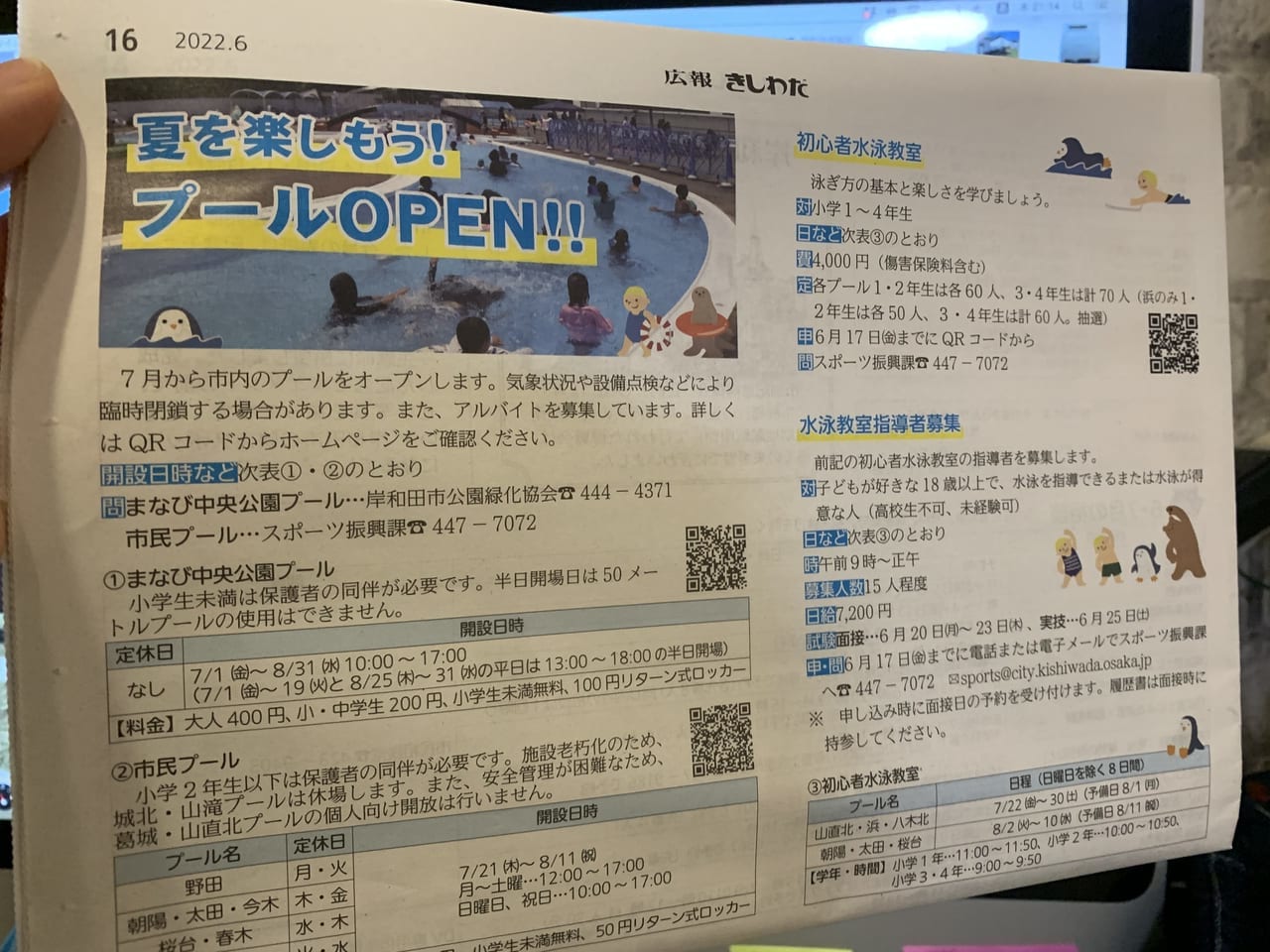 岸和田市 今年こそ 夏を楽しむプールがオープン 号外net 岸和田市 貝塚市