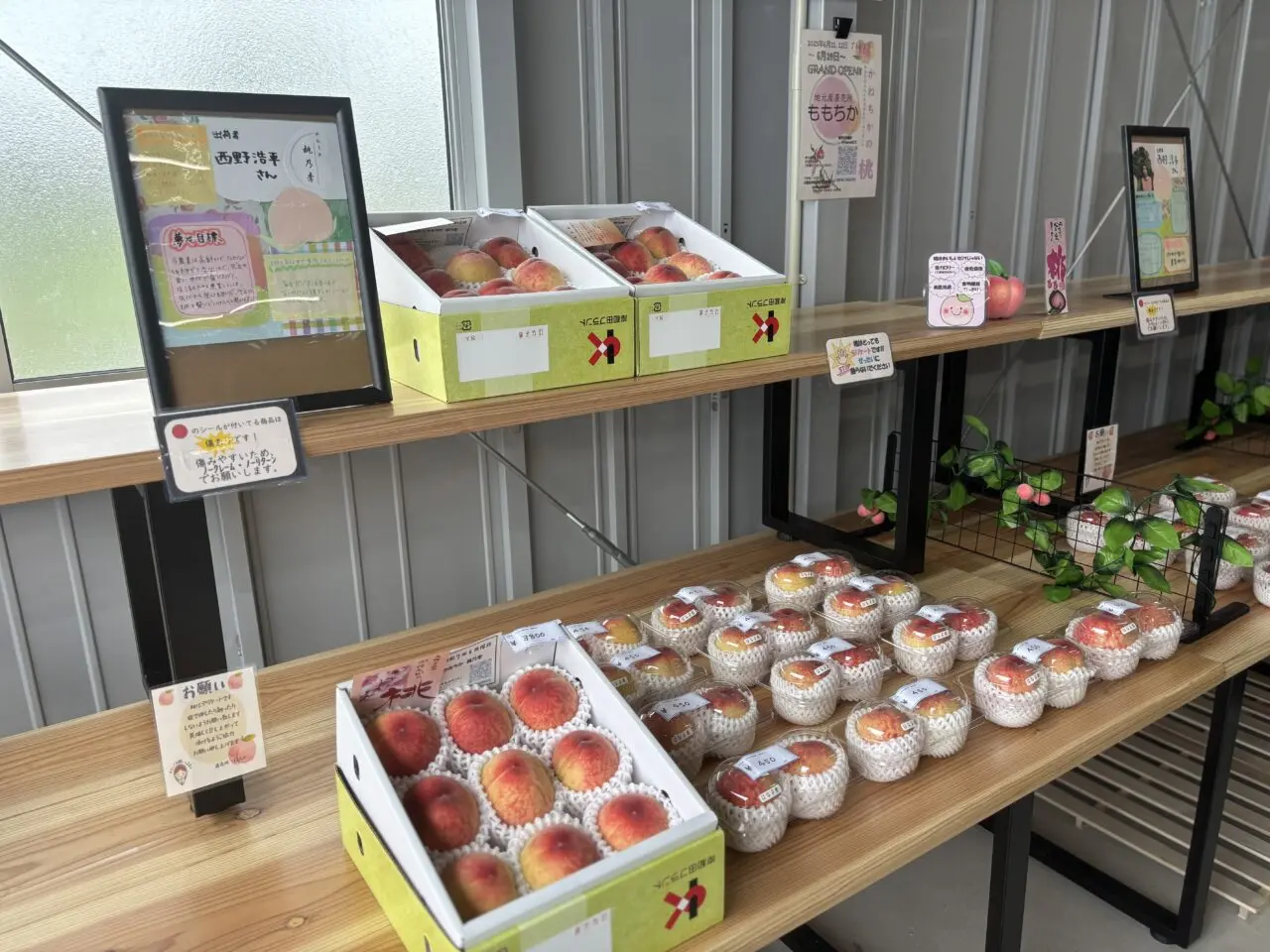 直売所ももちか店内