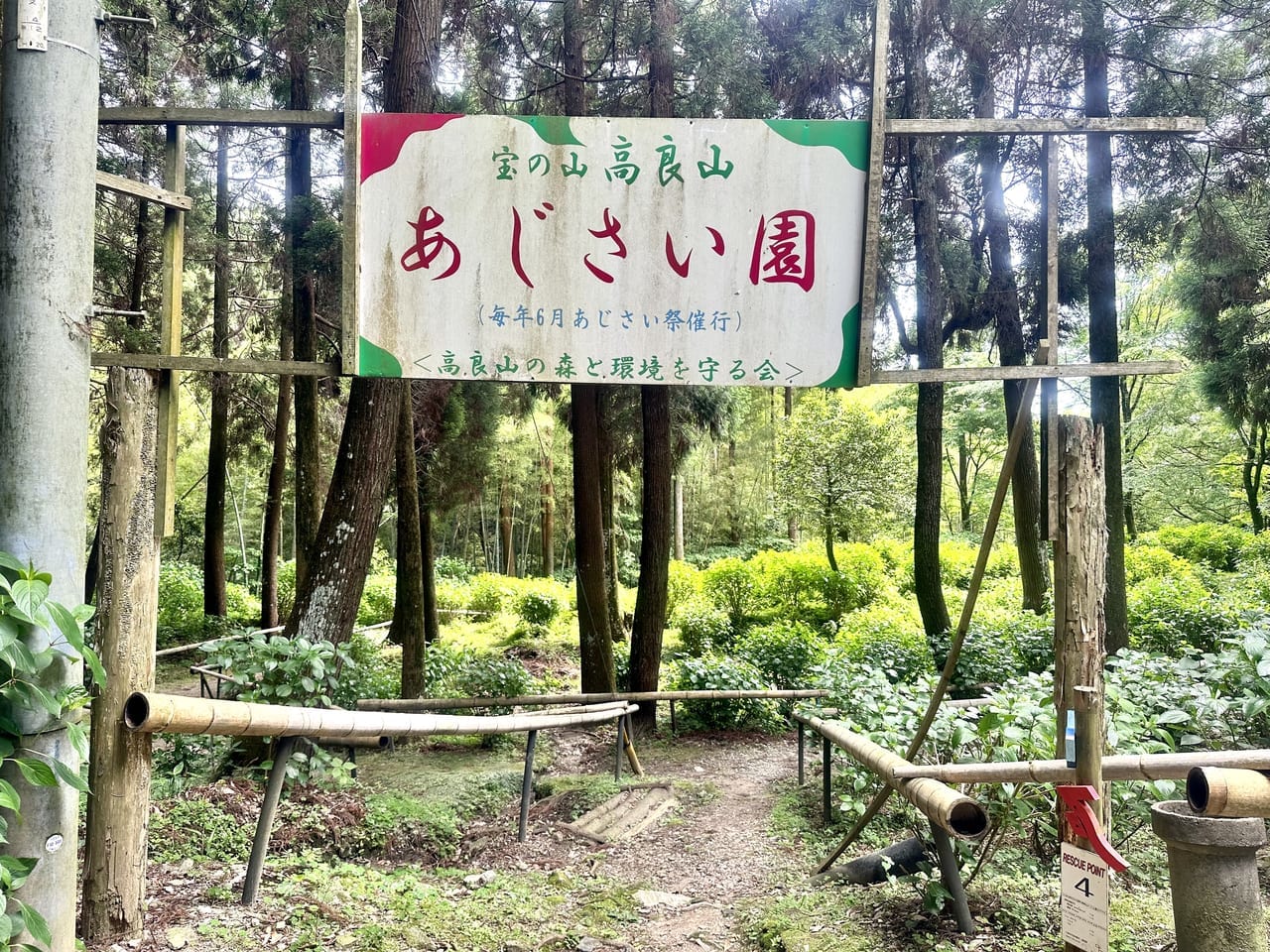 2023年宝の山高良山 あじさい祭り
