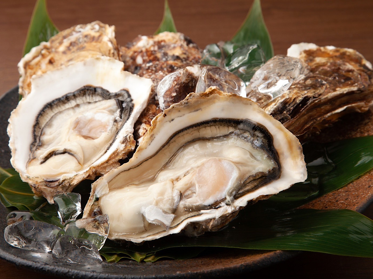 牡蠣ー１
