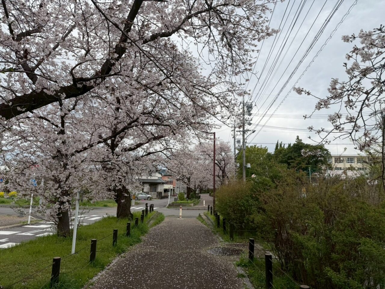 水道道４１ー２