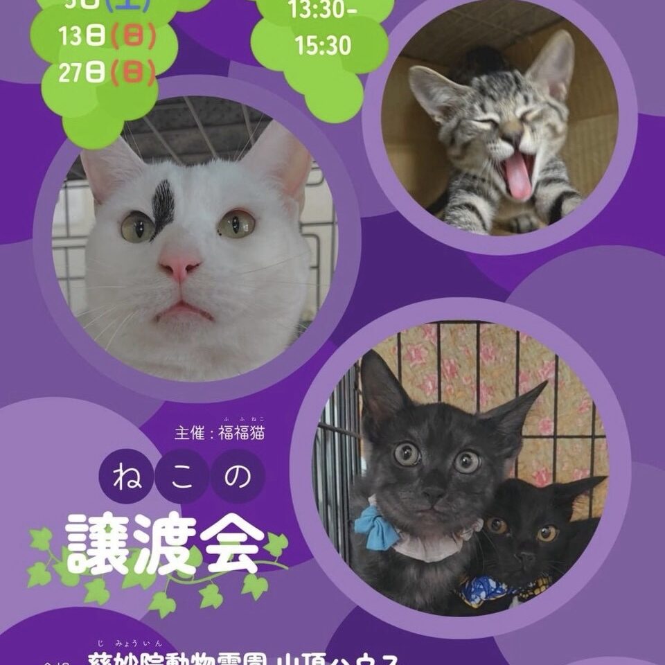 譲渡会ー１